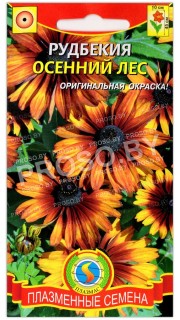 Рудбекия Осенний лес
