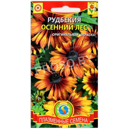 Рудбекия Осенний лес