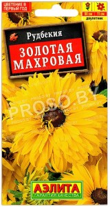 Рудбекия Золотая махровая