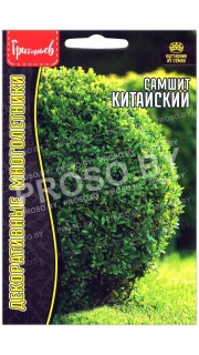 Самшит Китайский