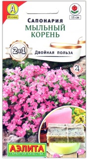 Сапонария Мыльный корень