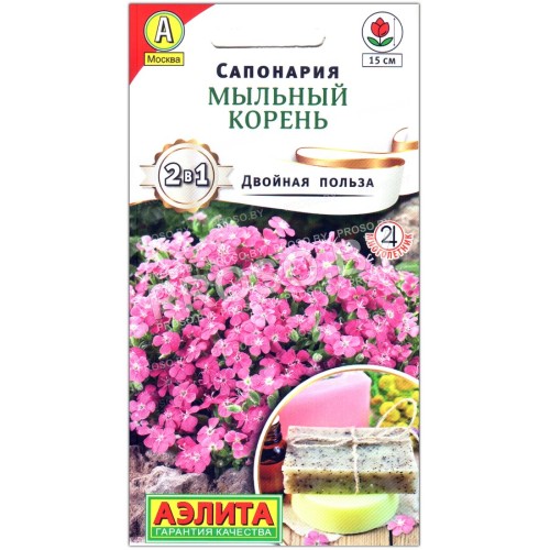 Сапонария Мыльный корень