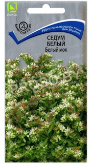 Седум белый Белый мох