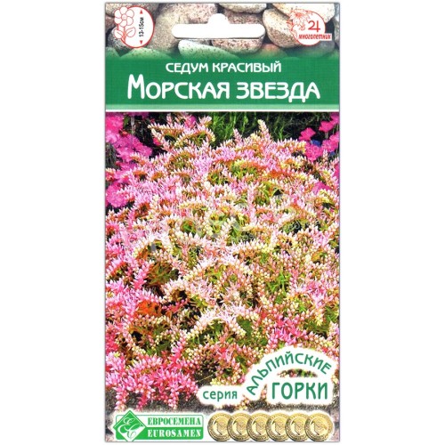 Седум красивый Морская звезда