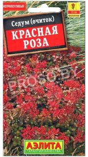 Седум Красная роза