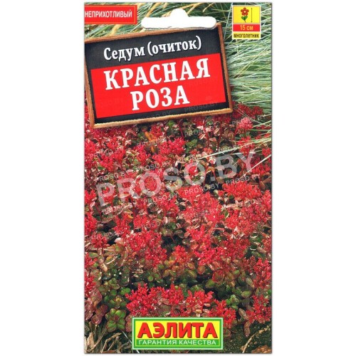Седум Красная роза