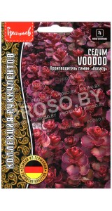 Седум Voodoo