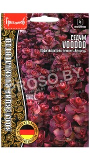Седум Voodoo