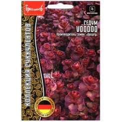 Седум Voodoo