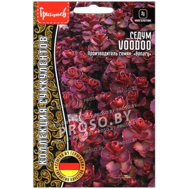 Седум Voodoo