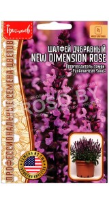 Шалфей дубравный New dimension rose