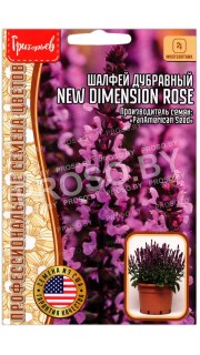 Шалфей дубравный New dimension rose