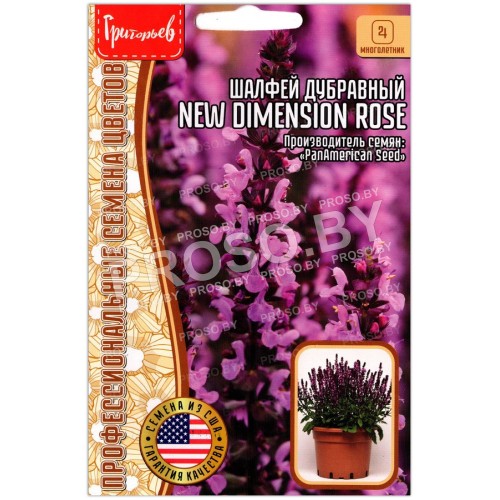 Шалфей дубравный New dimension rose