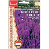 Шалфей дубравный West friesland violet blue