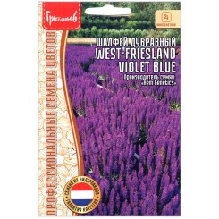 Шалфей дубравный West friesland violet blue