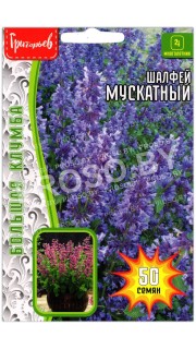 Шалфей Мускатный