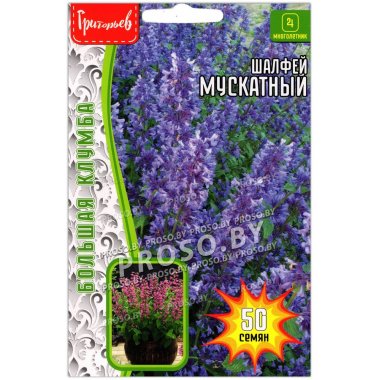Шалфей Мускатный