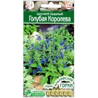 Шалфей пышный Голубая королева