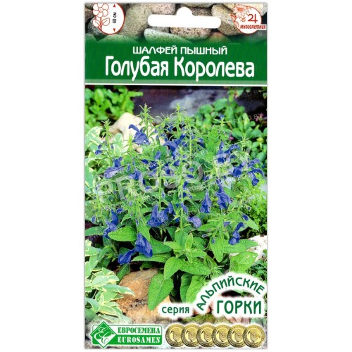 Шалфей пышный Голубая королева