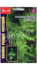 Шатавари перистый Setaceus
