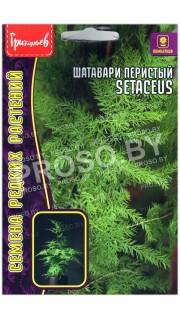 Шатавари перистый Setaceus