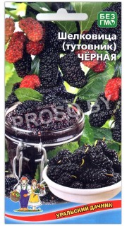 Шелковица (тутовник) Черная