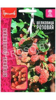 Шелковица (тутовник) Розовая