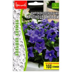 Ширококолокольчик Крупноцветковый