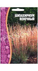Шизахириум Венечный