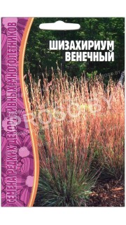 Шизахириум Венечный