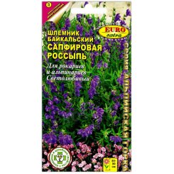 Шлемник байкальский Сапфировая россыпь