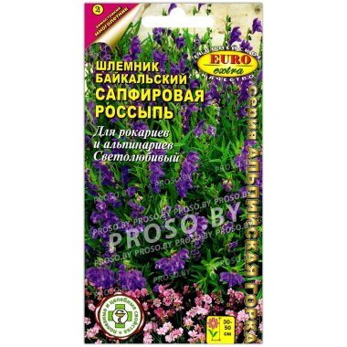 Шлемник байкальский Сапфировая россыпь