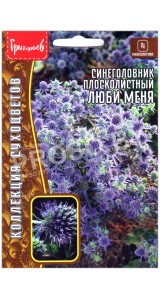 Синеголовник плосколистный Люби меня