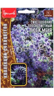 Синеголовник плосколистный Люби меня