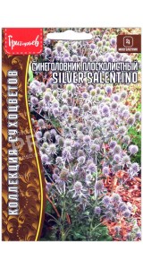 Синеголовник плосколистный Silver salentino