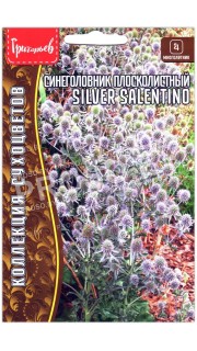 Синеголовник плосколистный Silver salentino