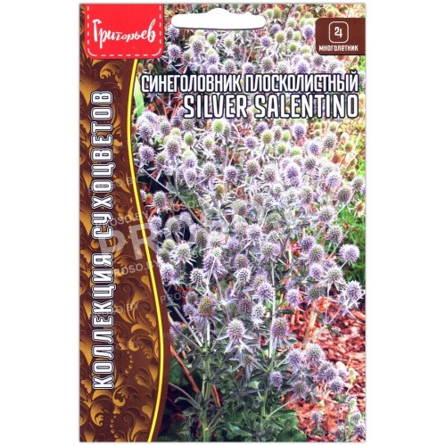 Синеголовник плосколистный Silver salentino