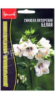 Синюха лазоревая Белая