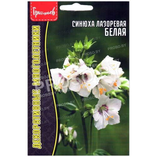 Синюха лазоревая Белая