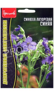 Синюха лазоревая Синяя