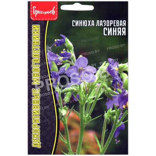 Синюха лазоревая Синяя