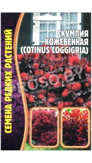 Скумпия Кожевенная