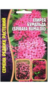 Спирея Бумальда