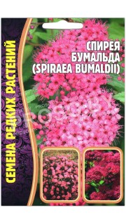Спирея Бумальда