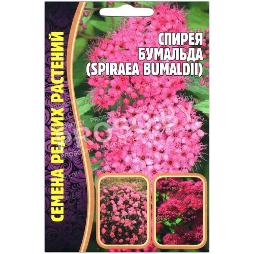 Спирея Бумальда
