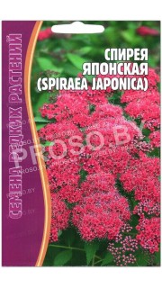 Спирея Японская