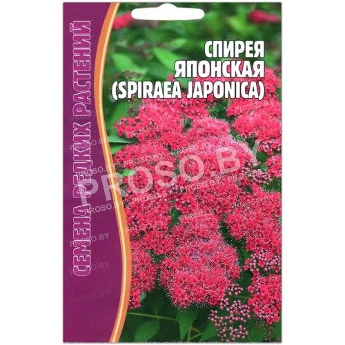 Спирея Японская