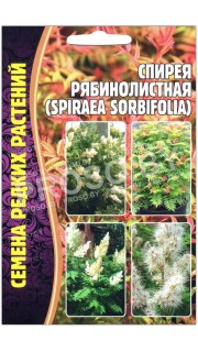 Спирея Рябинолистная