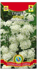 Спирея Фрица
