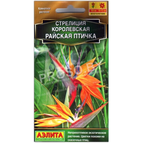 Стрелиция королевская Райская птица (птичка)